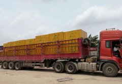 貴州羅總-九層建筑橋梁板發(fā)車