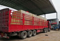 廣州工程發(fā)車現(xiàn)場(chǎng)