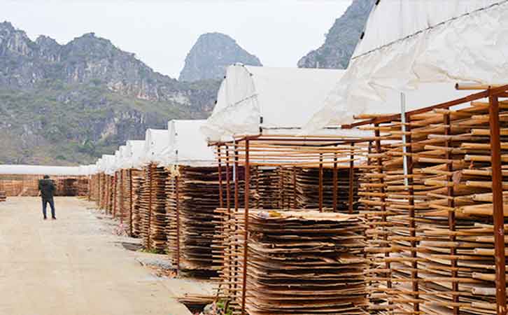 廣西建筑用模板廠家荷嘉木業(yè)生產(chǎn)環(huán)境之曬板廠