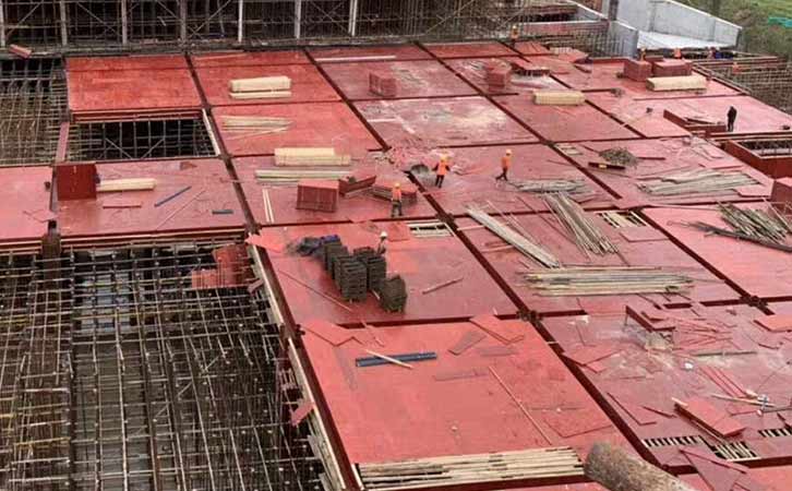 客戶對于荷嘉桉樹板質(zhì)量使用后好評