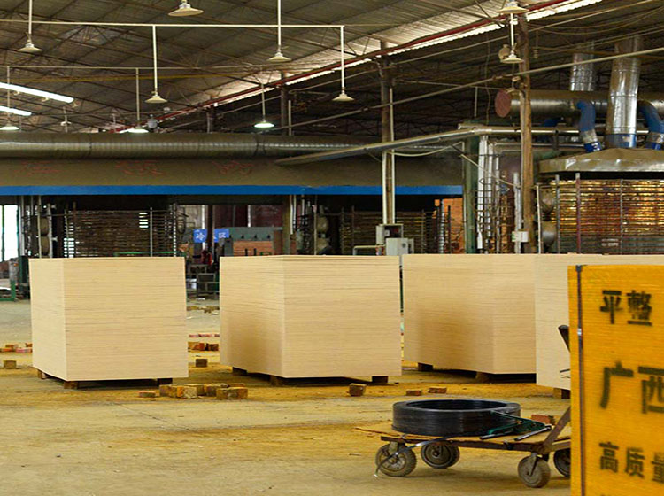 柳州千層木業(yè)